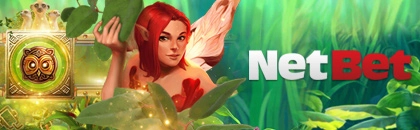 NetBet Casino es